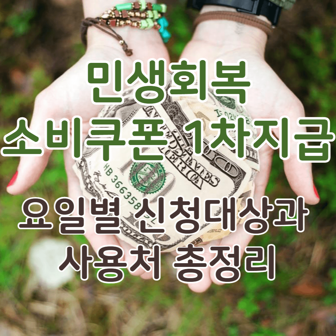 2025 민생회복 소비쿠폰 1차 지급: 요일별 신청 대상과 사용처 총정리