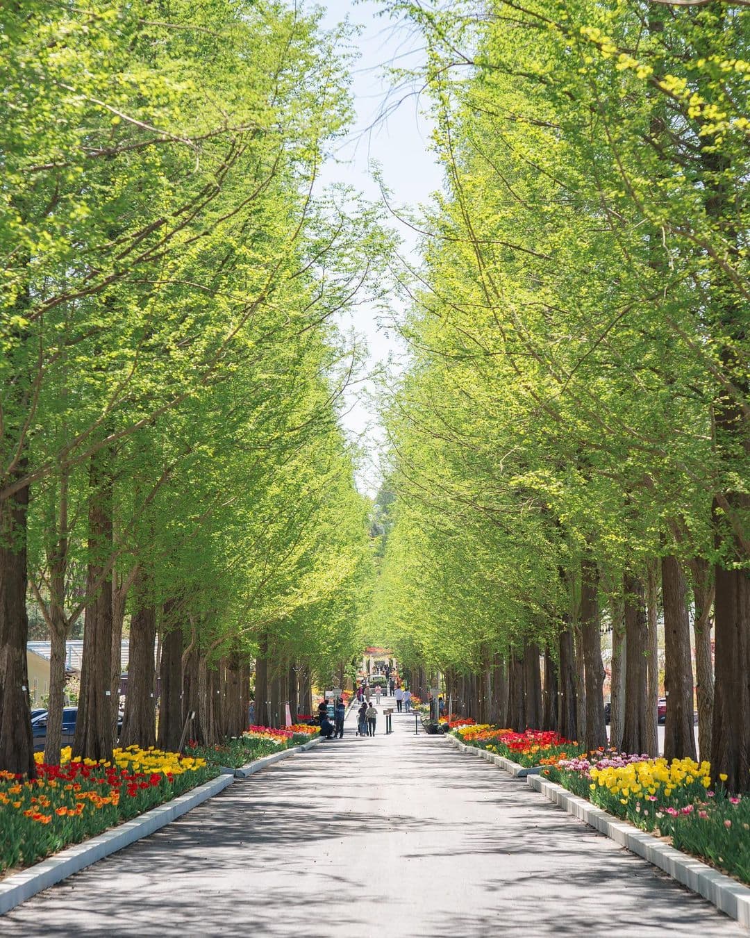 [충남 논산]사계절 내내 머물고 싶은 곳, 피나클랜드 수목원 이야기