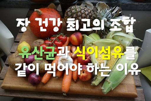 글의 이해를 돕기 위한 식이섬유와 유산균 이미지