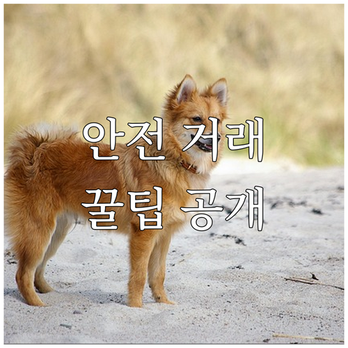 중고 가구 온라인 안전 거래 꿀팁