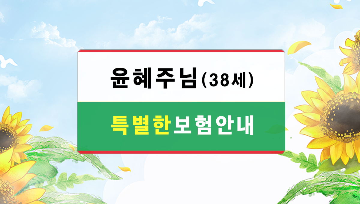 보험안내