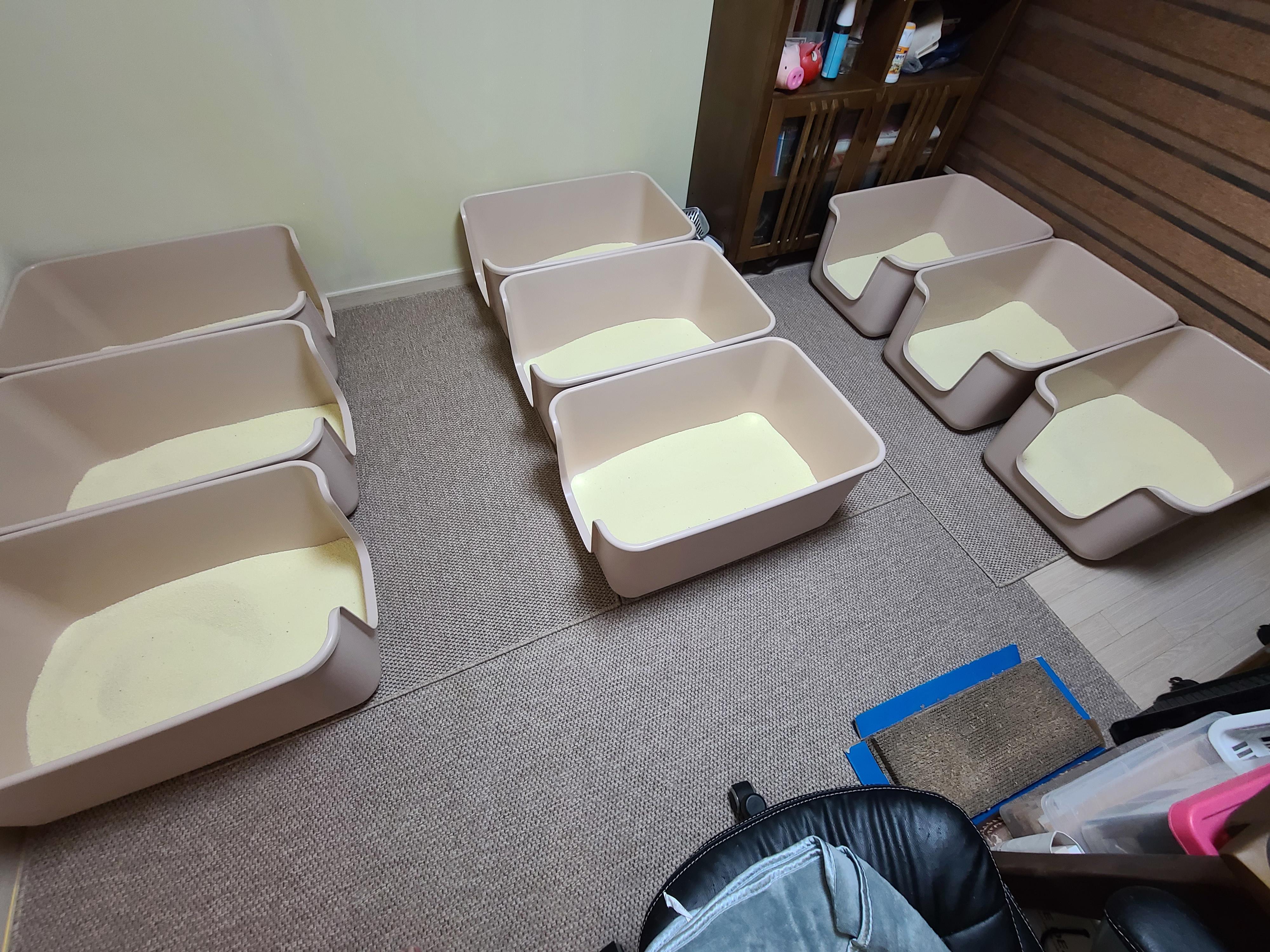 그날이 다가왔다! 아이들 화장실모래전체갈이!!