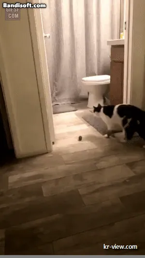 img.webp?credential=yqXZFxpELC7KVnFOS48ylbz2pIh7yKj8&expires=1767193199&allow_ip=&allow_referer=&signature=CQr1eT7rAzAoro2pmXdfhhGkKxE%3D