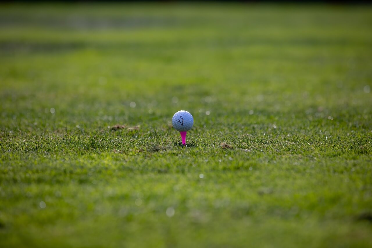 2025 LPGA 일정 소개