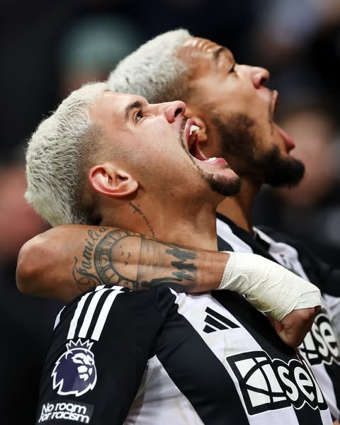 토트넘 VS 뉴캐슬 팀K 리그 친선경기 쿠플 스포츠패스 선예매 특별이벤트