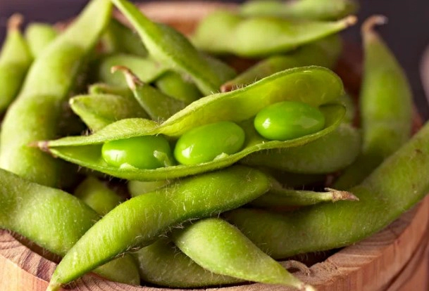 아르기닌이란 무엇이고 많이 들어있는 음식