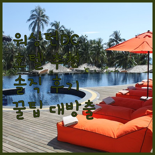 워싱턴 호텔 고민 끝! 솔직 후기와 