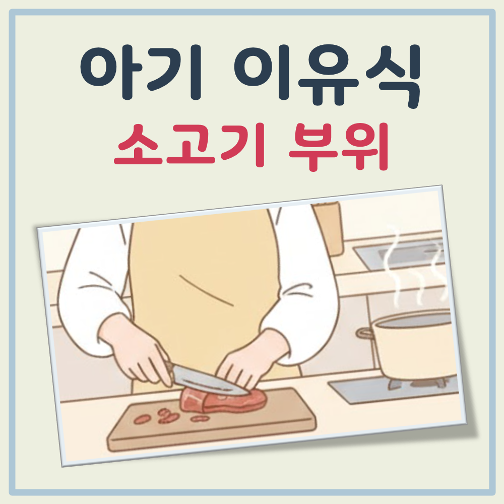 아기 이유식 소고기 부위 대표 이미지
