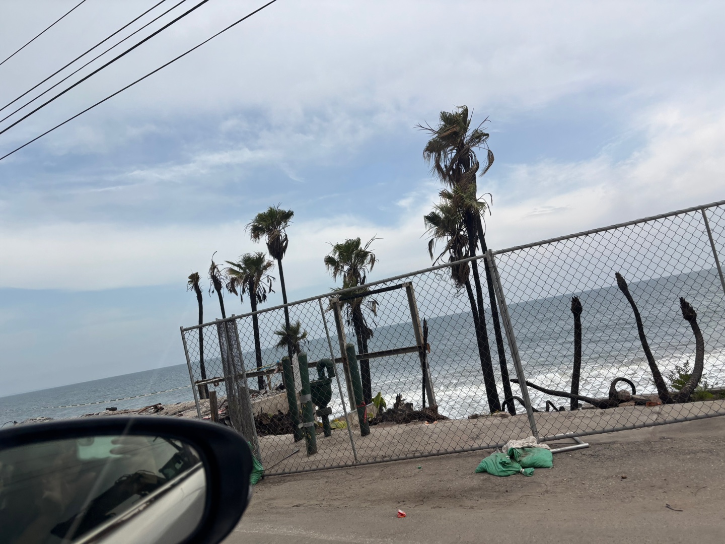 탄 자국이 남은 야자수들이 바닷가를 따라 줄지어 있는 이미지