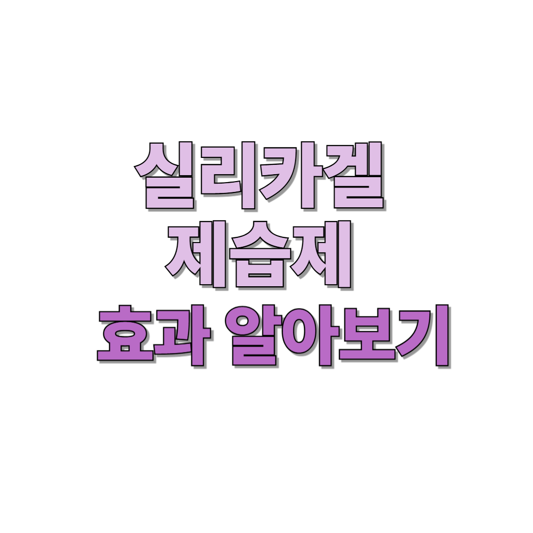 실리카겔 제습제