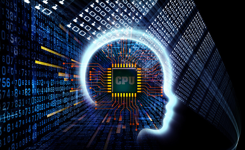 뇌의 구조와 기능