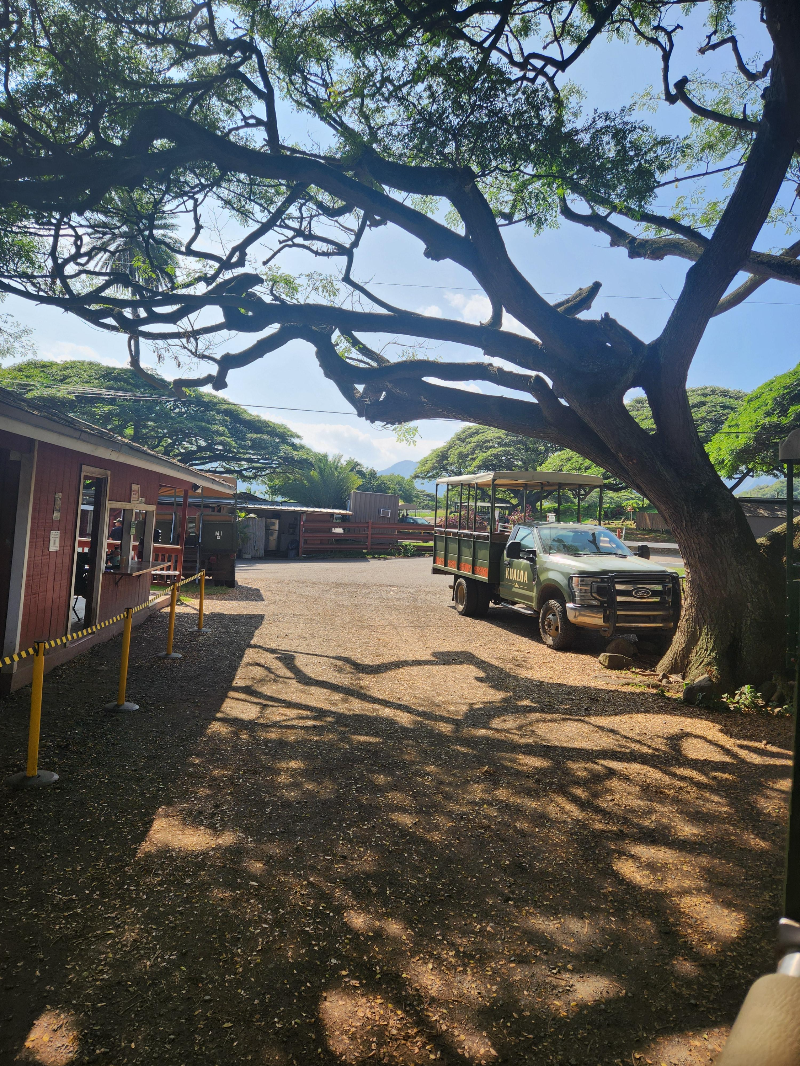 하와이 쿠알로아 랜치 익스피리언스 패키지 정글투어