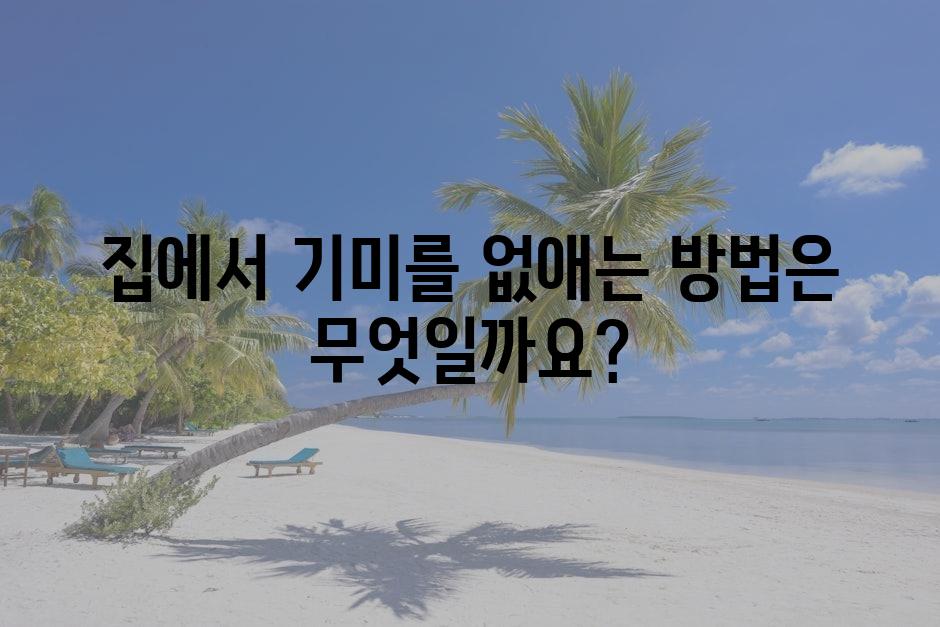 샘플 (79)