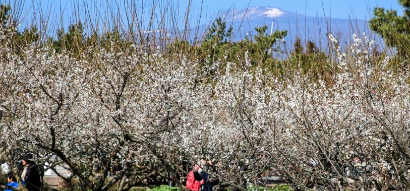 제주도 여행 일정1