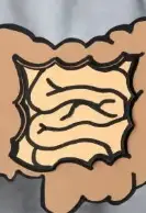 장건강에 좋은 음식과 습관