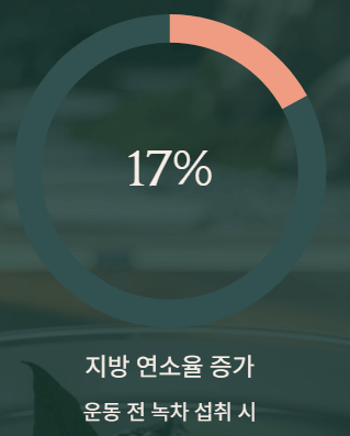  다이어트 차 3종 