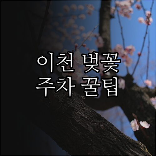 이천 벚꽃 축제 일정과 설봉공원 안흥..