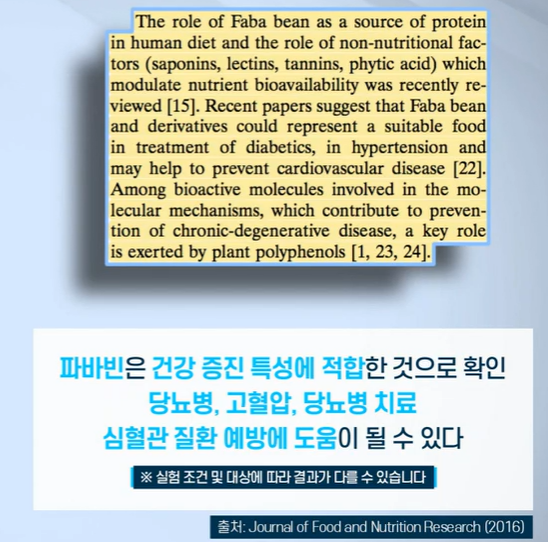자이언트 파바빈 효능