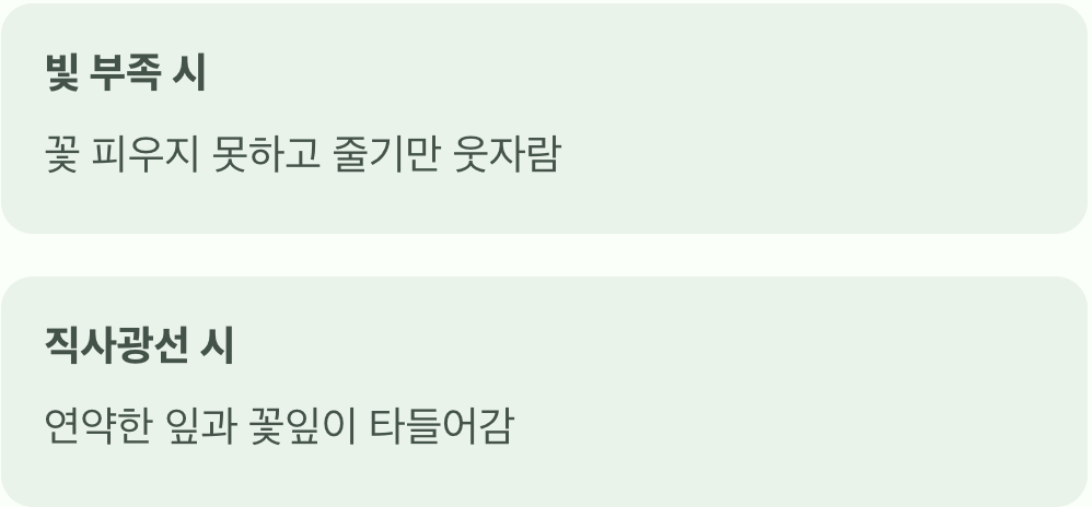 '햇볕'은 좋아하지만, '땡볕'은 싫어요