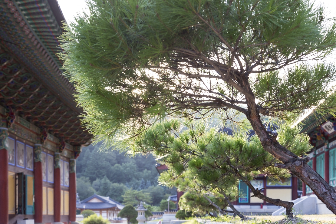 오대산 월정사