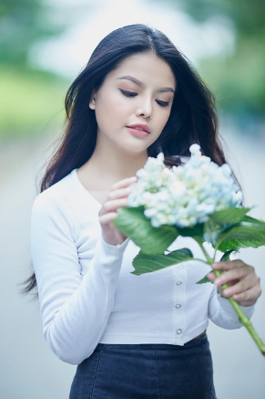 신안 도초도 수국축제