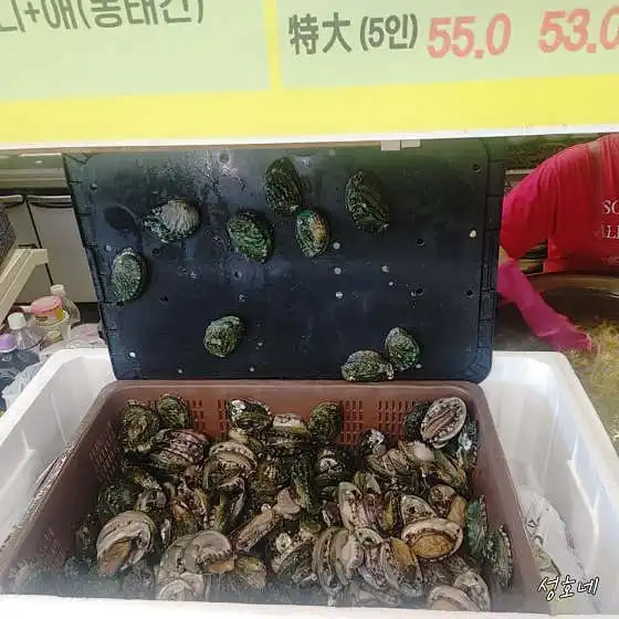 생방송투데이 이천 성호네왕코다리동태탕 실제 후기