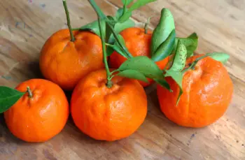 제주 귤 10kg 가격&amp;#44; 효능과 영양성분