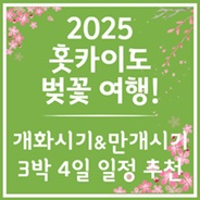 홋카이도 3박4일 일정 추천
