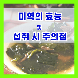 미역의 효능과 섭취 시 주의점