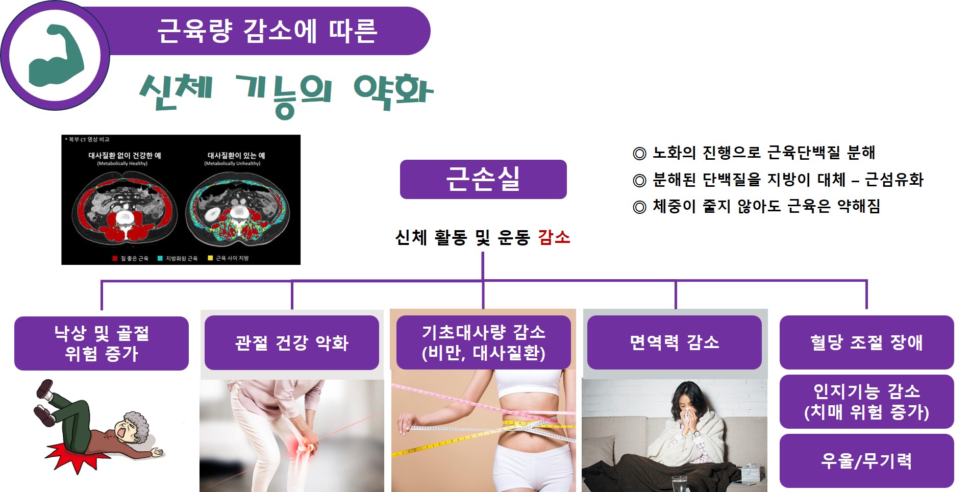 단백질