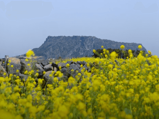 성산일출봉
