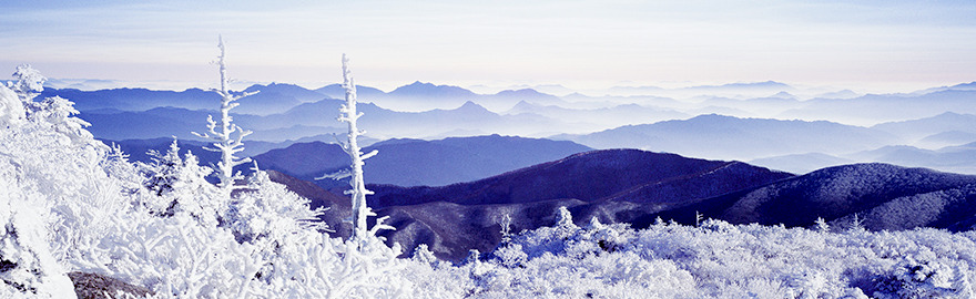 오대산 등산코스 추천 및 등산지도