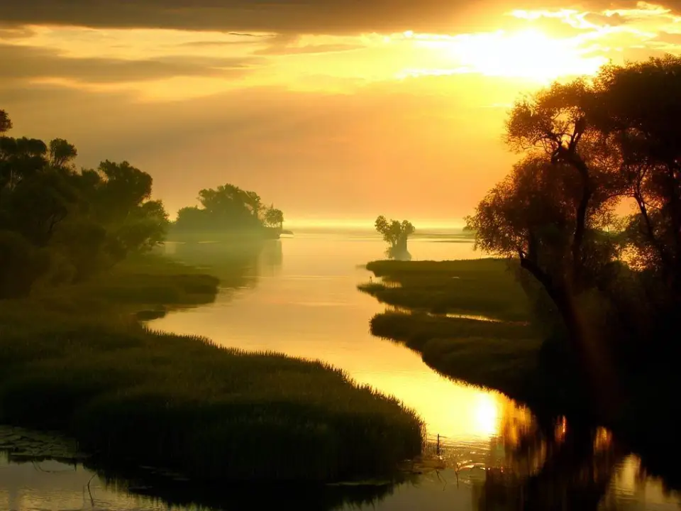 유네스코 자연유산 다뉴브 삼각주