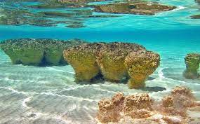 서진이네 촬영지