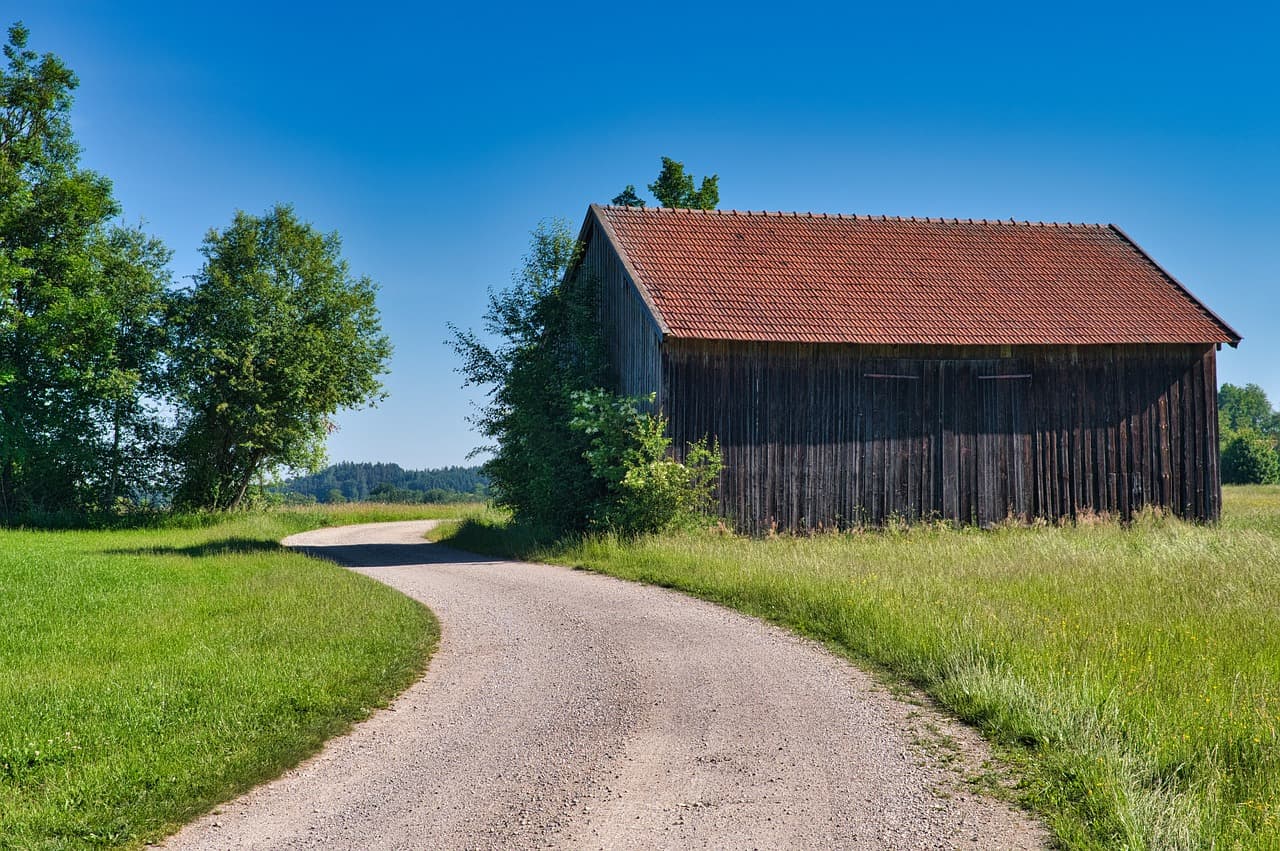 AI는 인간을 차별할까? 알고리즘 편향 문제와 해결책