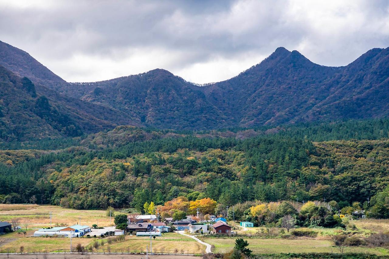 울릉도 독도 실시간 CCTV 라이브캠 날씨 교통정보 완벽 총정리, 2025 최신판 (여행 필수 정보)