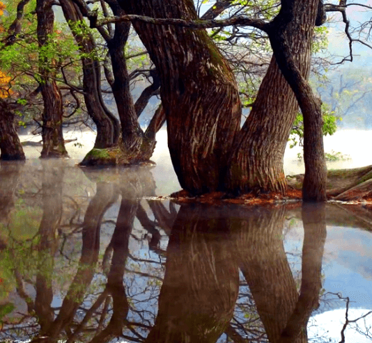 단풍여행 단풍트레킹 당일버스 여행