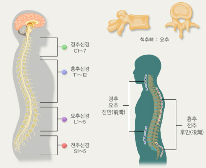 목디스크 증상