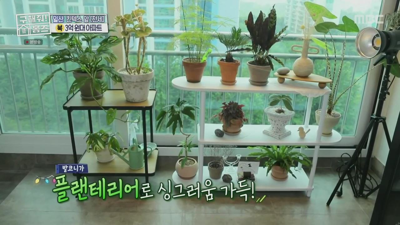 구해줘홈즈 고양시 일산서구 대화동 사랑의 대화 하우스 매물 가격 및 구조 인테리어 리모델링 최종선택 소개