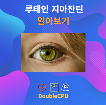 루테인 지아잔틴 알아보기