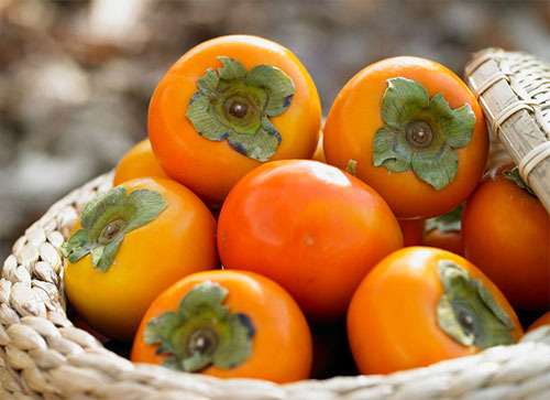 감과 같이 먹으면 안되는 음식