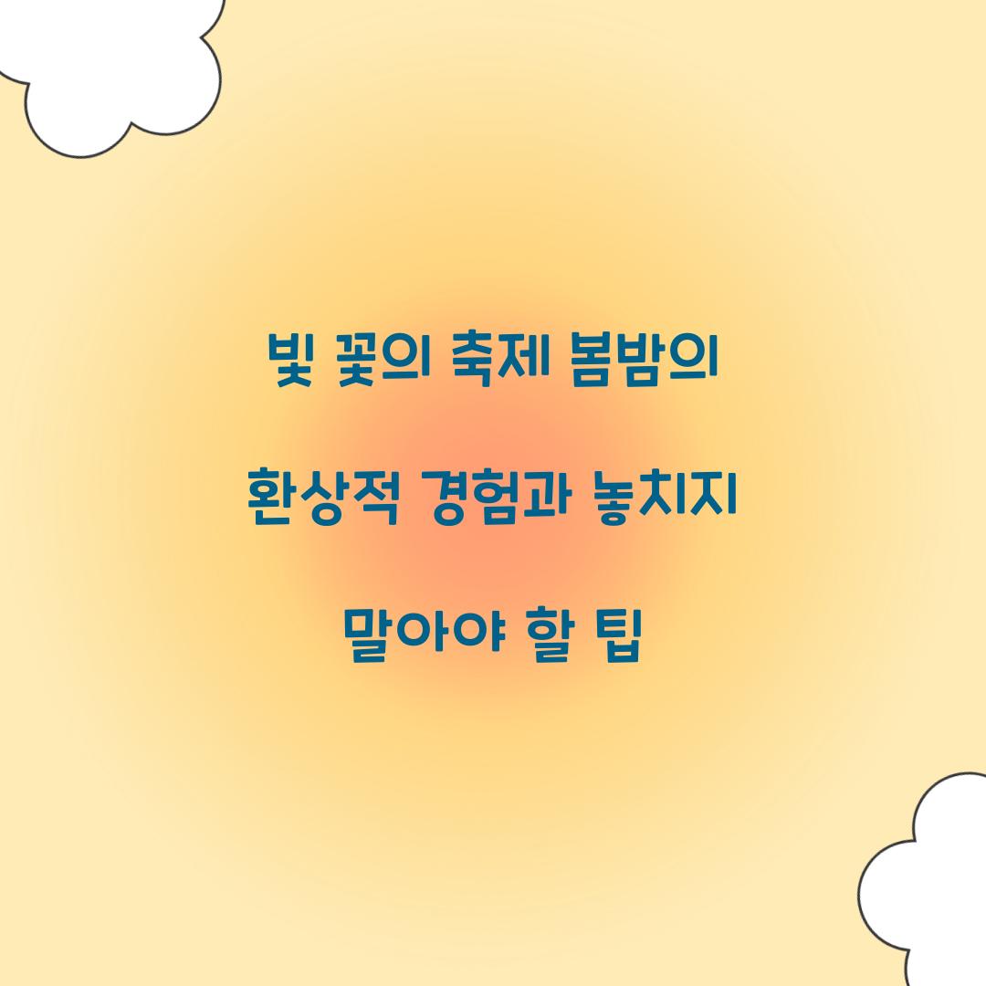 빛 꽃의 축제