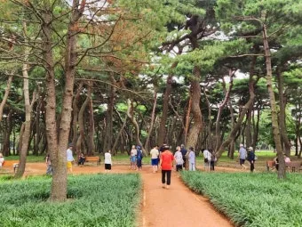 황토길 맨발 걷기 효능과 건강 효과 핵심 정보 정리해보기_27