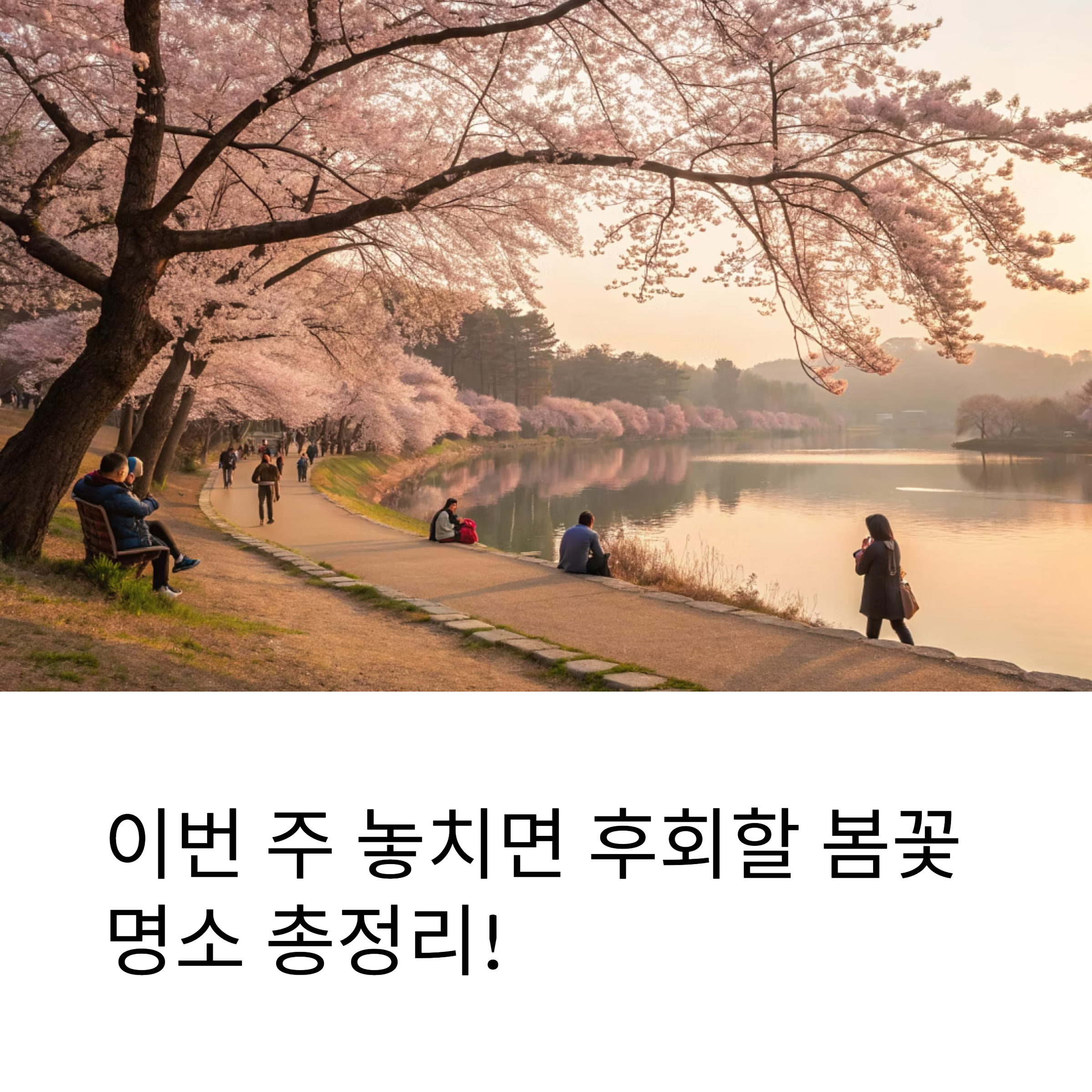 이번 주말 가야 할 꽃 명소는 어디? (2025년 4월 16일 기준)