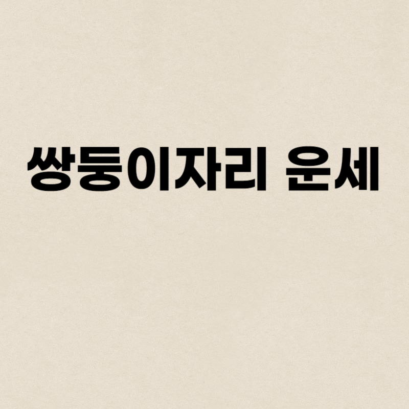 쌍둥이자리 운세
