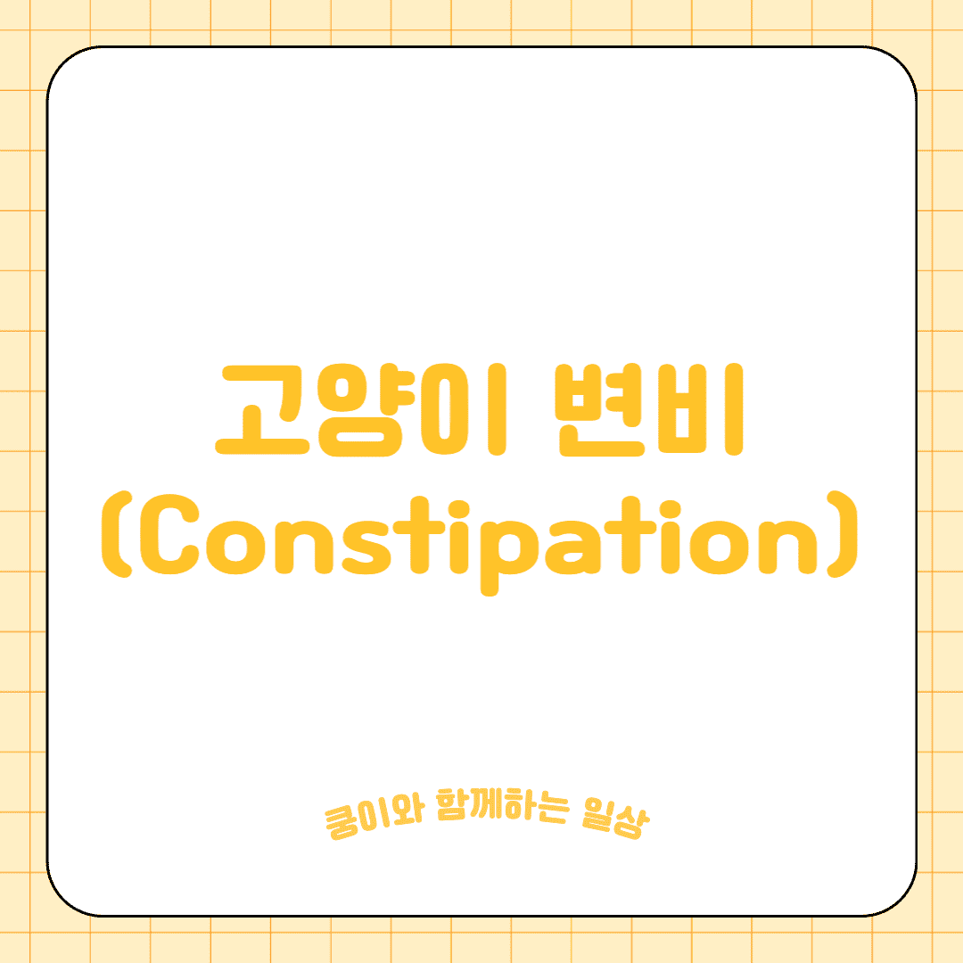 고양이 변비(Constipation)