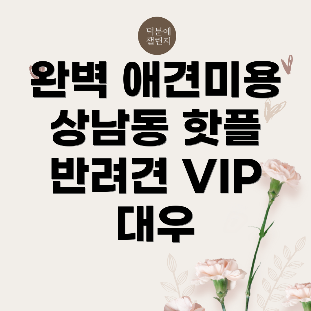 애견미용실