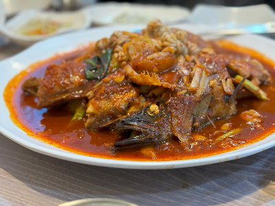 속초 맛집