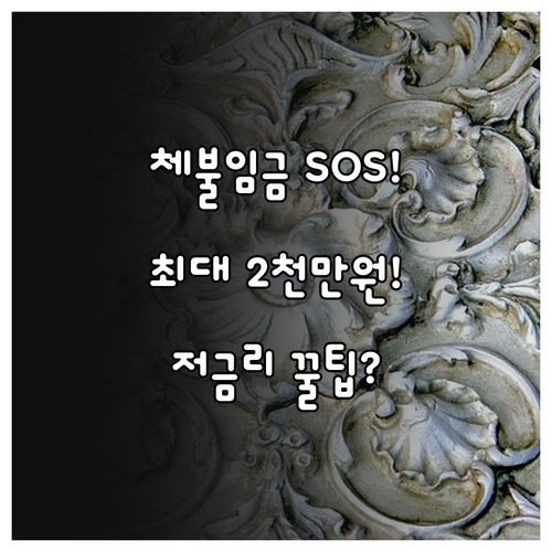 사업주 체불 임금, 2025년 최대 ..