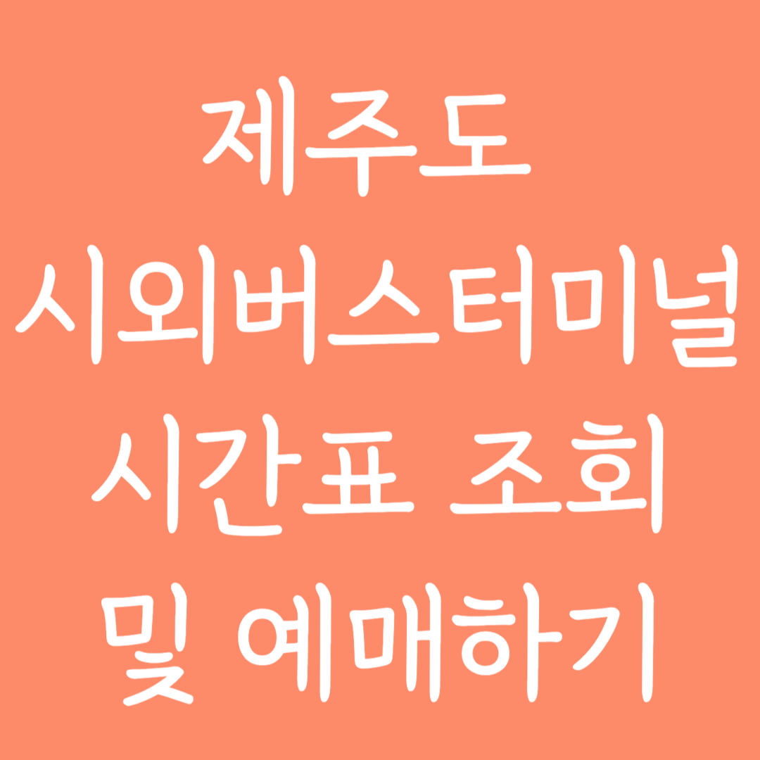 제주도 시외버스터미널 시간표 조회 및 예매하기